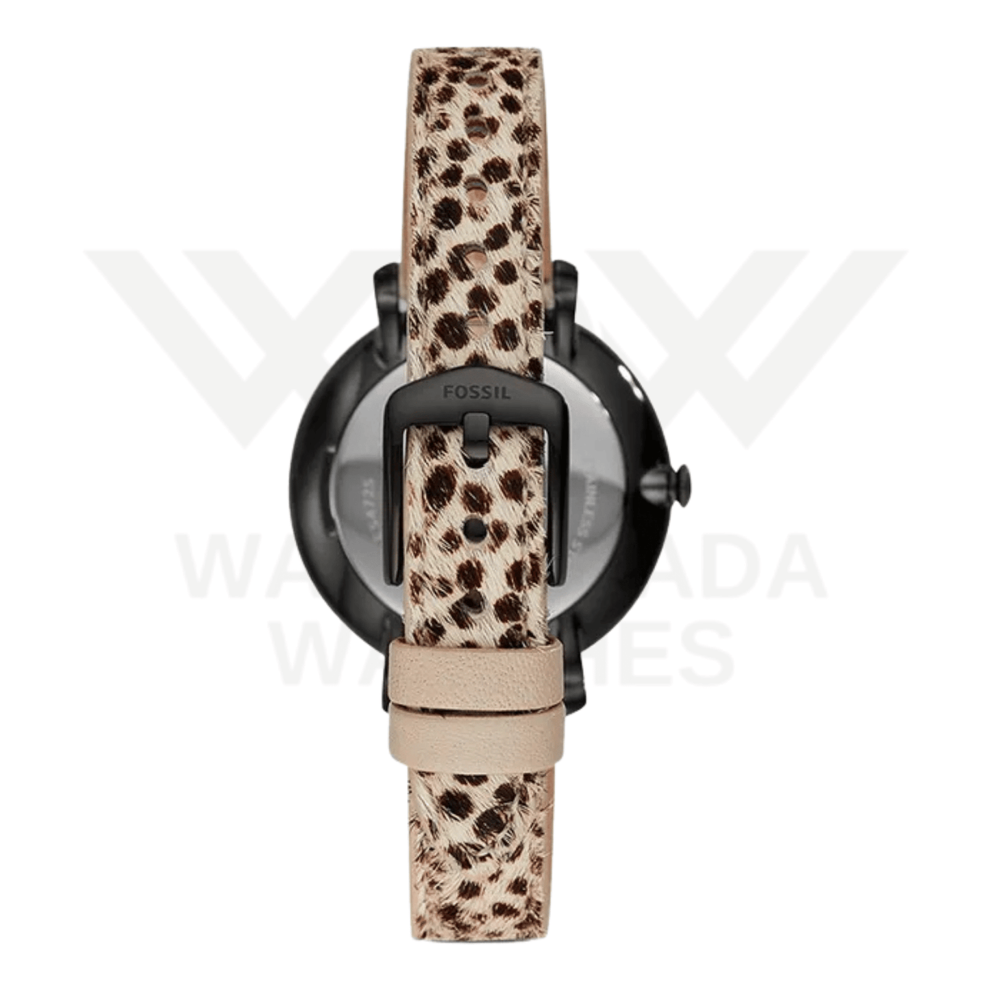 FOSSIL JACQUELINE ES4725