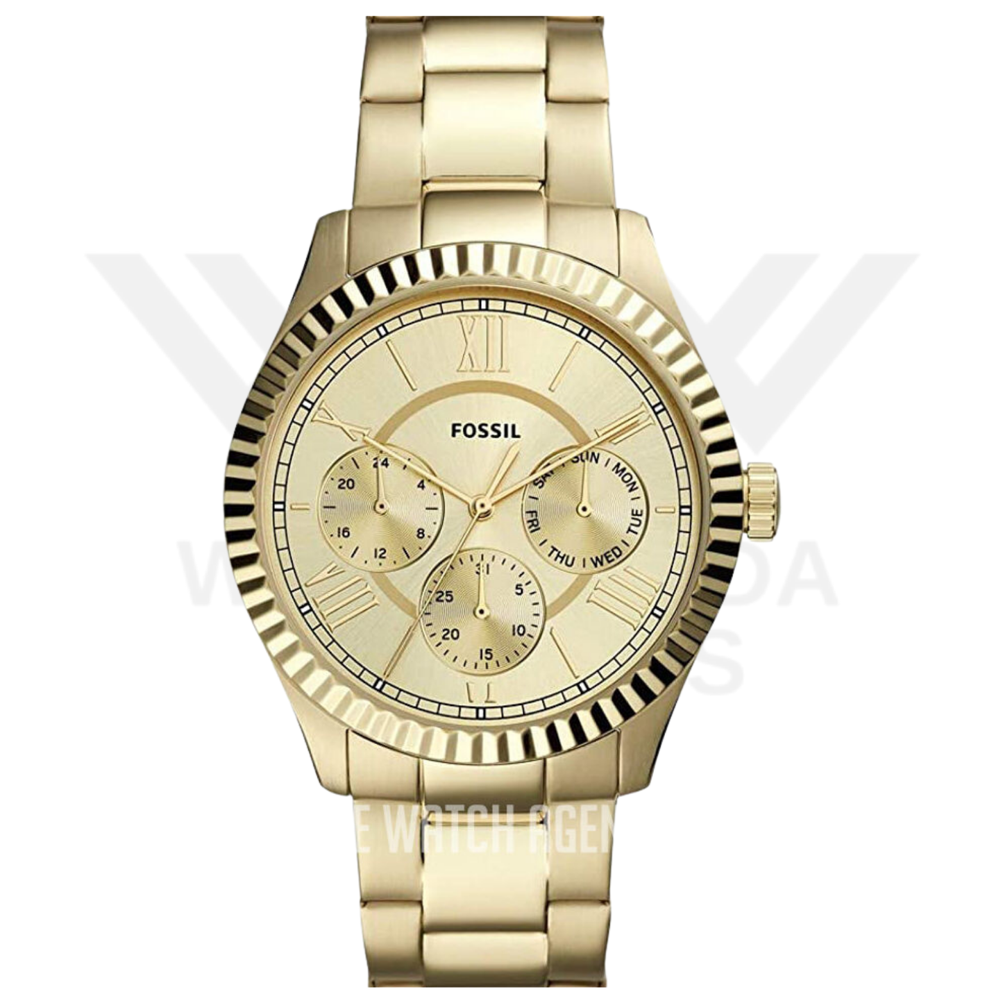 Fossil Chapman FS5632