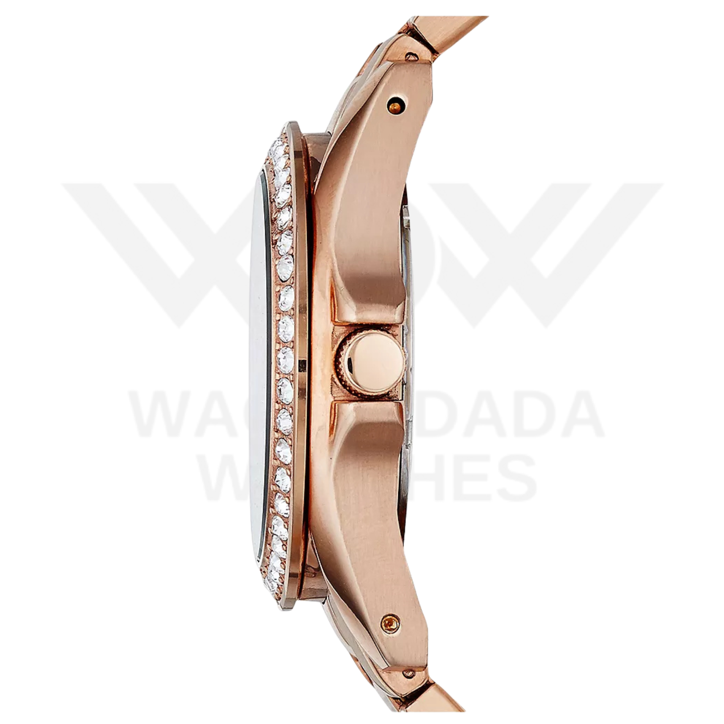 Fossil Riley Stunning ES2811