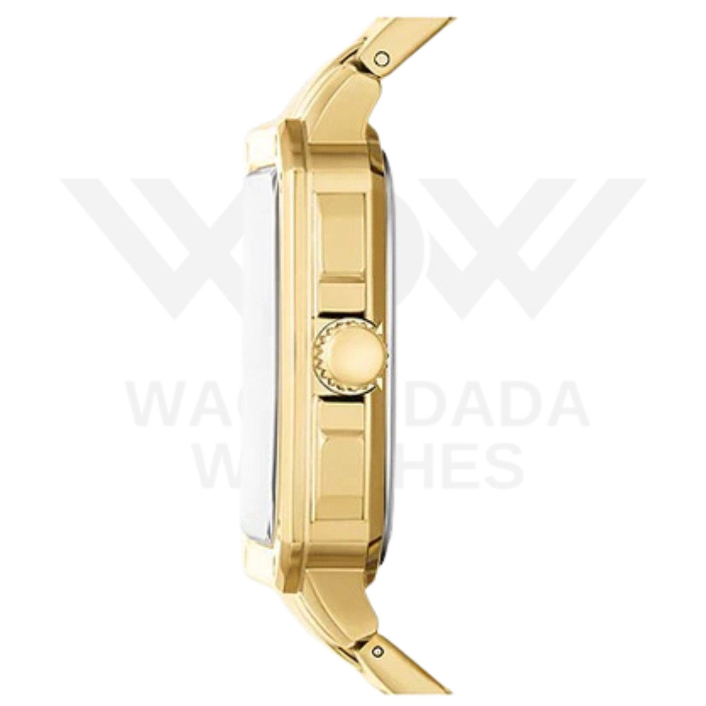 Fossil Inscription Watch BQ2656
